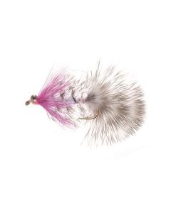 Unique Flies Polar Magnus